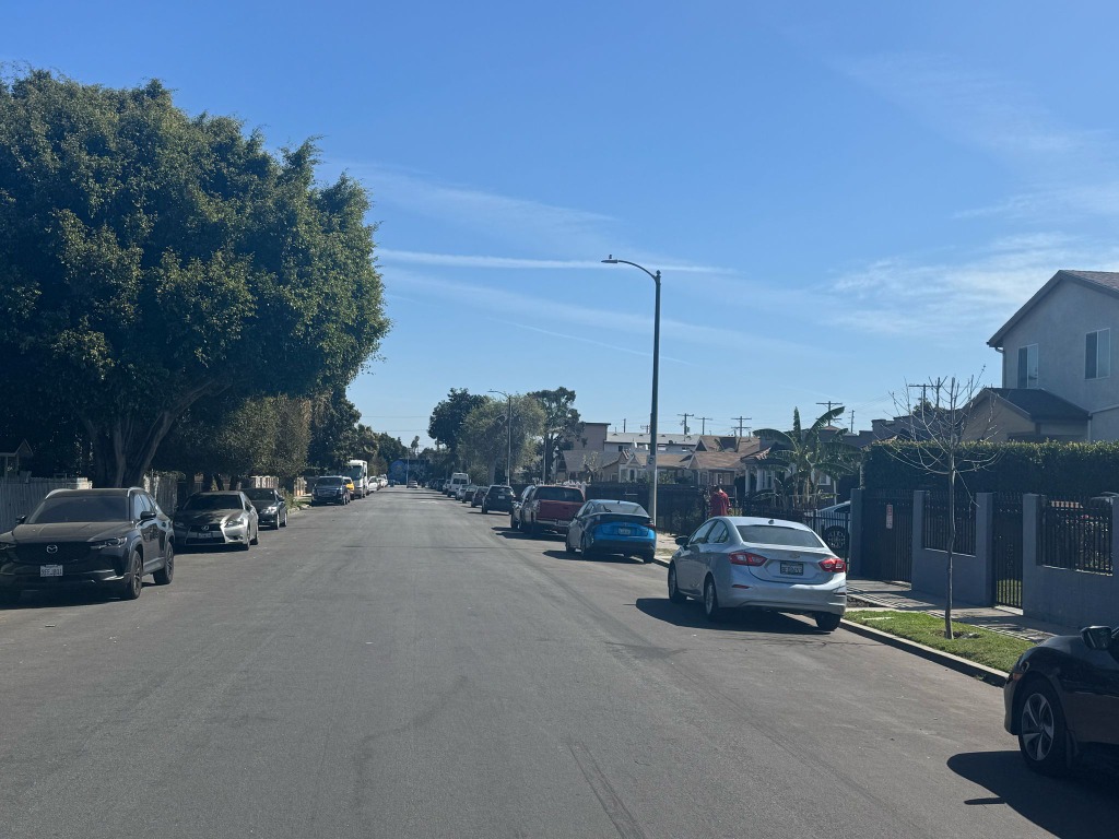 Tree-Lined Street Parking